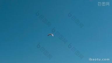 一只海鸥飞过<strong>蓝色</strong>天空背景下的亚德里亚海